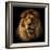 Lion Portrait on Black Background. Big Adult Lion with Rich Mane.-Michal Bednarek-Framed Photographic Print