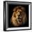 Lion Portrait on Black Background. Big Adult Lion with Rich Mane.-Michal Bednarek-Framed Photographic Print