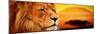 Lion Portrait on Savanna Landscape Background and Mount Kilimanjaro at Sunset. Panoramic Version-Michal Bednarek-Mounted Premium Photographic Print