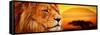 Lion Portrait on Savanna Landscape Background and Mount Kilimanjaro at Sunset. Panoramic Version-Michal Bednarek-Framed Stretched Canvas