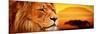 Lion Portrait on Savanna Landscape Background and Mount Kilimanjaro at Sunset. Panoramic Version-Michal Bednarek-Mounted Photographic Print