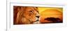 Lion Portrait on Savanna Landscape Background and Mount Kilimanjaro at Sunset. Panoramic Version-Michal Bednarek-Framed Photographic Print