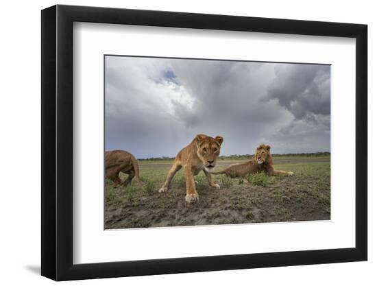 Premium Photographic Print, , large