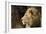 Lion Profile NCZ 18-Robert Michaud-Framed Giclee Print