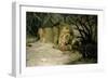 Lion Reclining in a Landscape-Wilhelm Kuhnert-Framed Giclee Print