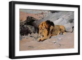 Lion Reclining in a Rocky Landscape-Wilhelm Kuhnert-Framed Giclee Print