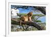 Lion resting in tree during middle of the day, Tanzania-Nick Garbutt-Framed Photographic Print