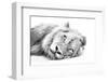 Lion Resting on Sand High Key-Alta Oosthuizen-Framed Photographic Print