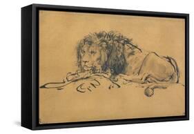 Lion Resting, Turned to the Left, C1650-Rembrandt van Rijn-Framed Stretched Canvas