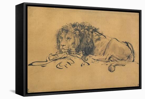 Lion Resting, Turned to the Left, C1650-Rembrandt van Rijn-Framed Stretched Canvas