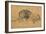 Lion Resting, Turned to the Left, C1650-Rembrandt van Rijn-Framed Premium Giclee Print