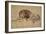 Lion Resting, Turned to the Left-Rembrandt van Rijn-Framed Giclee Print