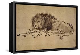 Lion Resting, Turned to the Left-Rembrandt van Rijn-Framed Stretched Canvas