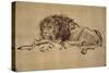 Lion Resting, Turned to the Left-Rembrandt van Rijn-Stretched Canvas