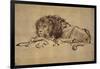 Lion Resting, Turned to the Left-Rembrandt van Rijn-Framed Giclee Print