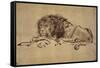 Lion Resting, Turned to the Left-Rembrandt van Rijn-Framed Stretched Canvas