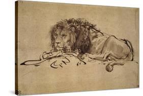 Lion Resting, Turned to the Left-Rembrandt van Rijn-Stretched Canvas