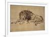 Lion Resting, Turned to the Left-Rembrandt van Rijn-Framed Giclee Print