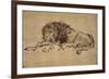 Lion Resting, Turned to the Left-Rembrandt van Rijn-Framed Giclee Print