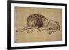 Lion Resting, Turned to the Left-Rembrandt van Rijn-Framed Giclee Print