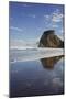 Lion Rock, Piha, Auckland, North Island, New Zealand-Rainer Mirau-Mounted Photographic Print