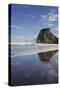 Lion Rock, Piha, Auckland, North Island, New Zealand-Rainer Mirau-Stretched Canvas