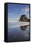 Lion Rock, Piha, Auckland, North Island, New Zealand-Rainer Mirau-Framed Stretched Canvas