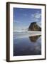 Lion Rock, Piha, Auckland, North Island, New Zealand-Rainer Mirau-Framed Photographic Print