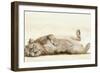 Lion roll, 2012,-Francesca Sanders-Framed Giclee Print