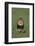 Lion Running in Field-DLILLC-Framed Photographic Print