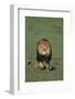 Lion Running in Field-DLILLC-Framed Photographic Print