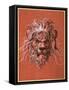Lion's Head-Jost Amman-Framed Stretched Canvas