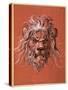 Lion's Head-Jost Amman-Stretched Canvas