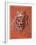 Lion's Head-Jost Amman-Framed Giclee Print