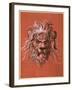 Lion's Head-Jost Amman-Framed Giclee Print