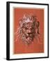 Lion's Head-Jost Amman-Framed Giclee Print