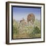 Lion's Hotel-Ditz-Framed Giclee Print