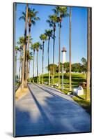 Lion's Lighthouse in Long Beach, California-George Oze-Mounted Photographic Print