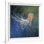 Lion's Mane Jellyfish-Alexander Semenov-Framed Photographic Print