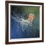 Lion's Mane Jellyfish-Alexander Semenov-Framed Photographic Print