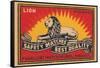 Lion Safety Matches Best Quality-null-Framed Stretched Canvas