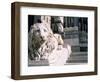 Lion, San Lorenzo Cathedral, Genoa (Genova), Liguria, Italy-Bruno Morandi-Framed Photographic Print