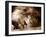 Lion Sleeping at Whipsnade Zoo Asleep One Eye Open, March 1959-null-Framed Premium Photographic Print