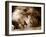 Lion Sleeping at Whipsnade Zoo Asleep One Eye Open, March 1959-null-Framed Photographic Print