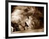 Lion Sleeping at Whipsnade Zoo Asleep One Eye Open, March 1959-null-Framed Photographic Print