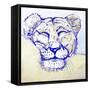 Lion Sleeping-Lisa Katharina-Framed Stretched Canvas