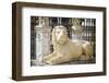 Lion statue at the entrance to the Arsenal, Venice, Veneto, Italy-Russ Bishop-Framed Photographic Print