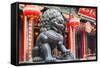 Lion Statue at Wong Tai Sin Temple, Wong Tai Sin, Kowloon, Hong Kong, China, Asia-Ian Trower-Framed Stretched Canvas