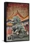 Lion Statue Standing Guard Forbidden City, Beijing, China-Darrell Gulin-Framed Stretched Canvas