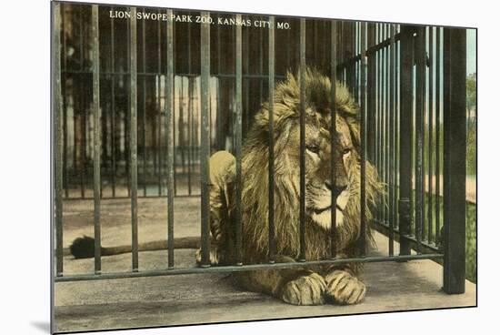 Lion, Swope Park Zoo, Kansas City, Missouri-null-Mounted Premium Giclee Print